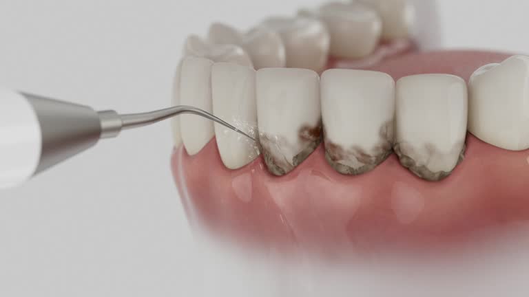 Reliable Dental contractor in North Beach Haven, NJ by Dentist Open Now